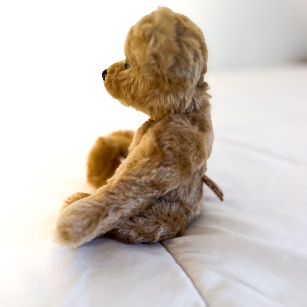Donna Hodges Original Mohair Teddy Bear and Christmas outfit - Picture 9 of 12